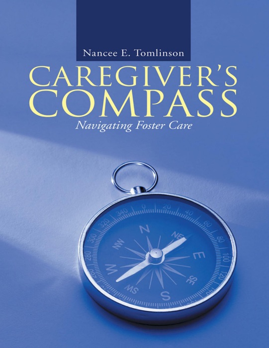 Caregiver’s Compass: Navigating Foster Care