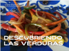 Descubriendo Las Verduras - Clara Elvira Mejia