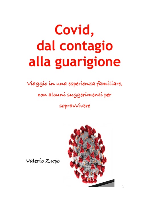 Covid, dal contagio alla guarigione