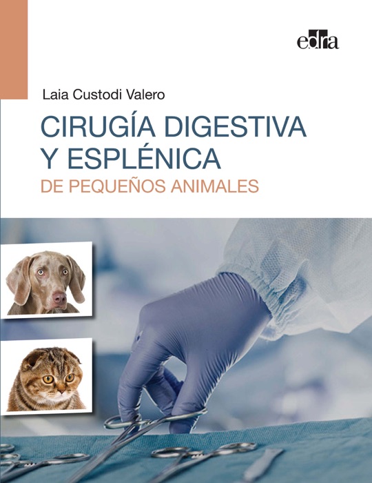 Cirugía digestiva y esplénica de pequeños animales