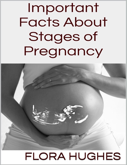 Important Facts About Stages of Pregnancy