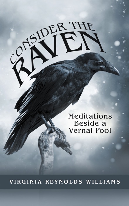 Consider the Raven