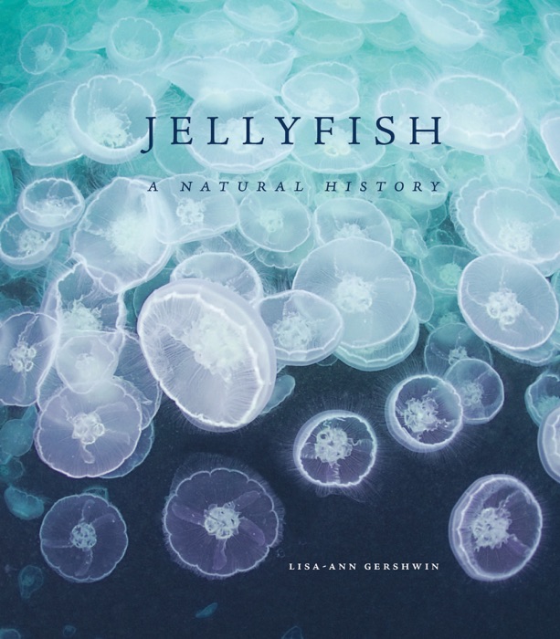 Jellyfish