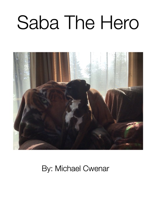 Saba The Hero