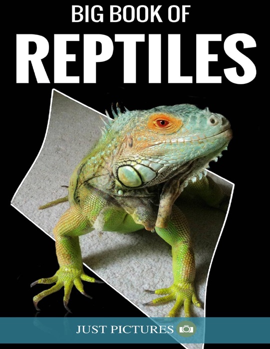 Big Book of Reptiles