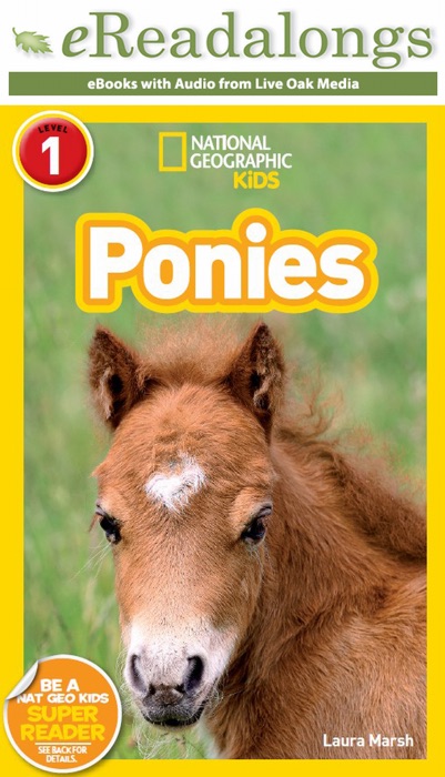 Ponies (Enhanced Edition)