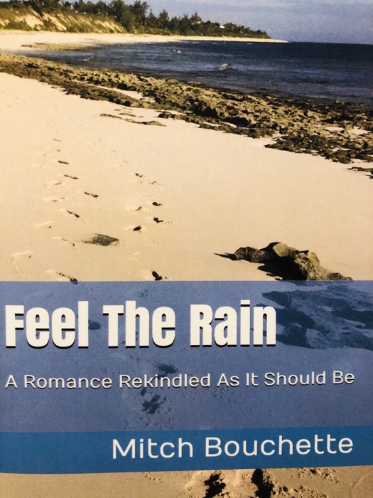 Feel The Rain: A Romance Rekindled As It Should Be (Book 2 In The 