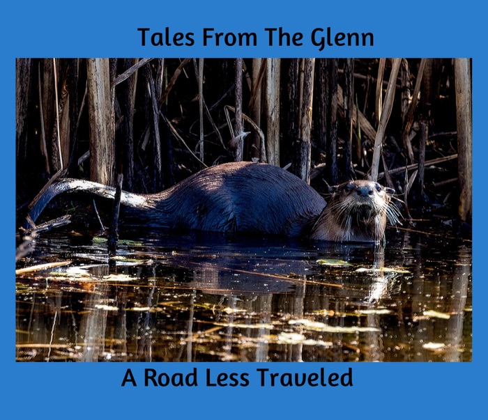 Tales From the Glenn
