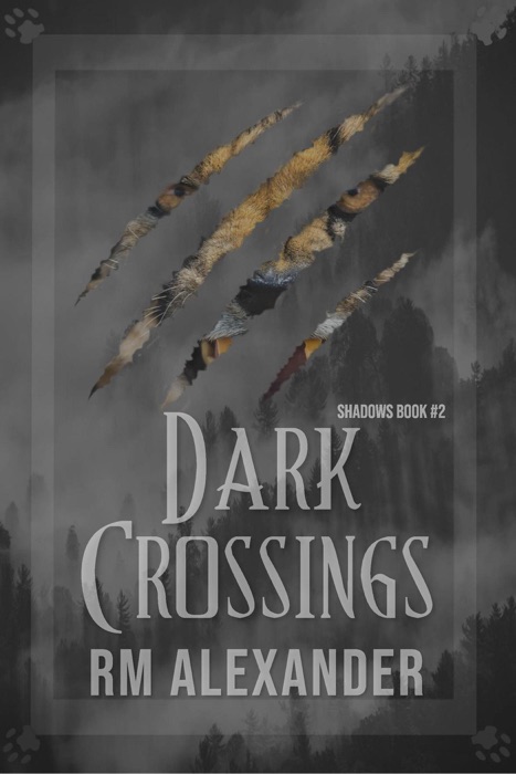 Dark Crossings