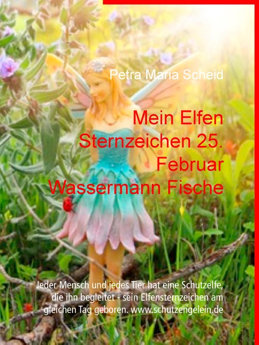 Mein Elfen Sternzeichen 25. Februar Wassermann Fische