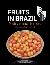 Fruits in Brazil - Harri Lorenzi Cover Art