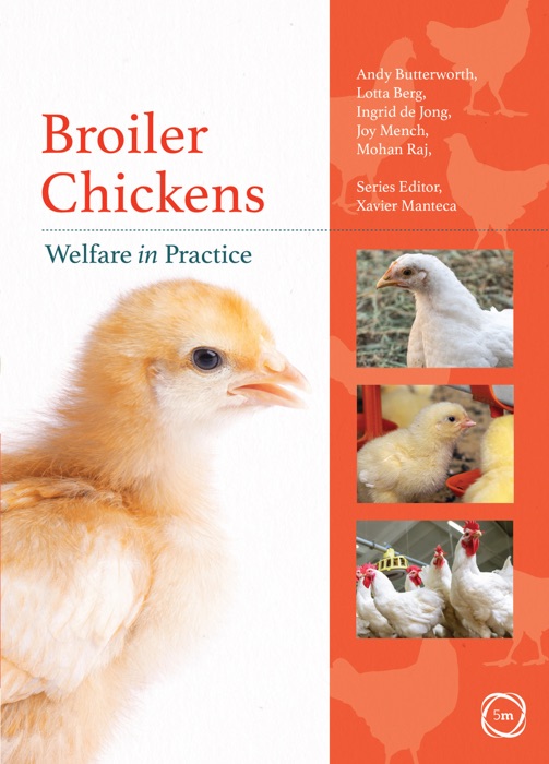 Broiler Chickens