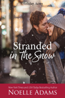 Noelle Adams - Stranded in the Snow artwork