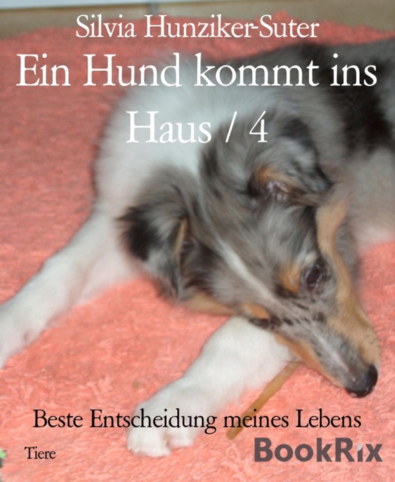 Ein Hund kommt ins Haus / 4