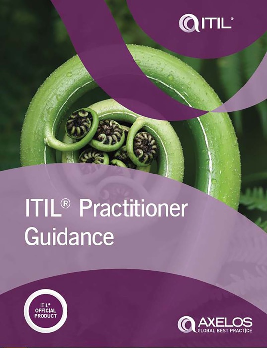 ITIL Practitioner Guidance