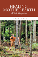 Lloyd Lill - Healing Mother Earth artwork