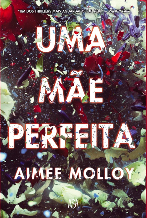 Uma Mãe Perfeita