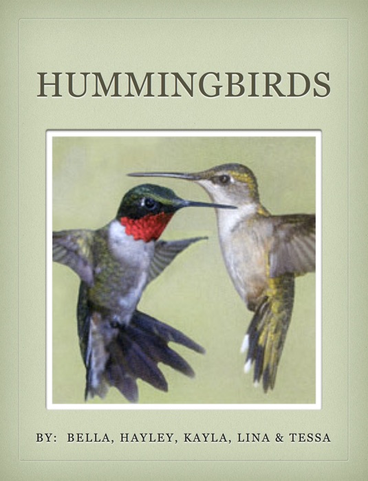 HUMMINGBIRDS