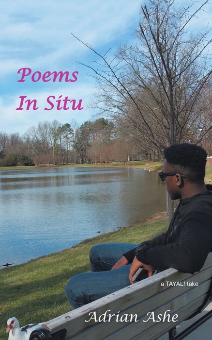 Poems in Situ