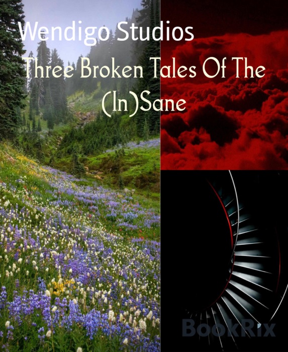 Three Broken Tales Of The (In)Sane