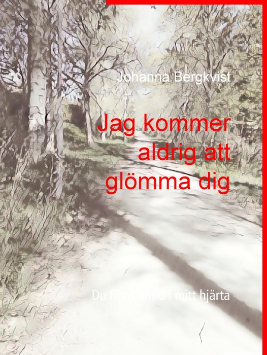 Jag kommer aldrig att glömma dig