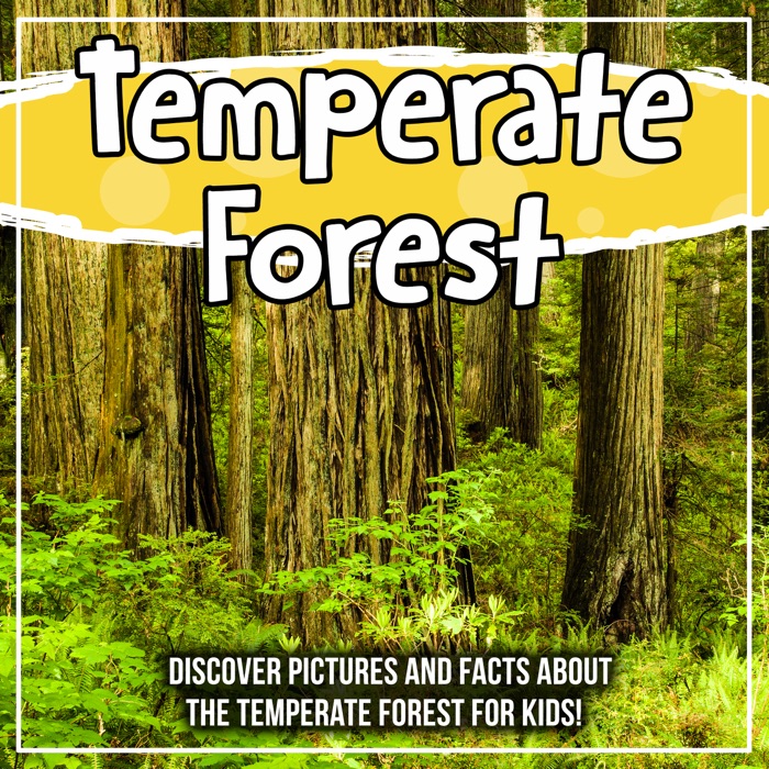 Temperate Forest: Discover Pictures and Facts About The Temperate Forest For Kids!