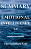 The Summary Guy - Emotional Intelligence 2.0 artwork