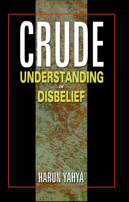 Crude Understanding of Disbelief