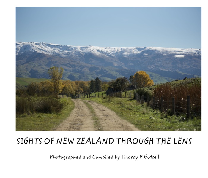 Sights of New Zealand Through The Lens