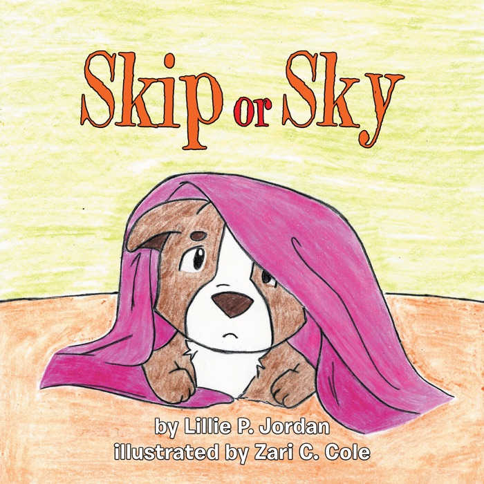 Skip or Sky