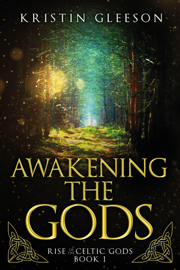 Awakening the Gods: A Celtic Urban Fantasy