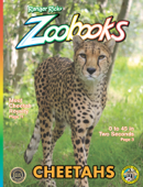 Zoobooks Cheetahs - Wildlife Education, Ltd