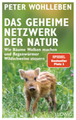 Das geheime Netzwerk der Natur - Peter Wohlleben