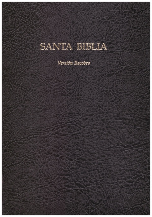 Santa Biblia Versión Recobro