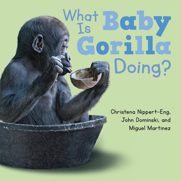 What Is Baby Gorilla Doing?