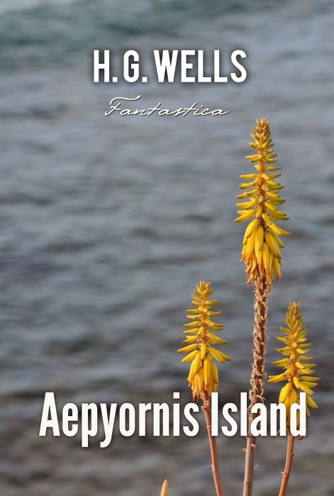 Aepyornis Island