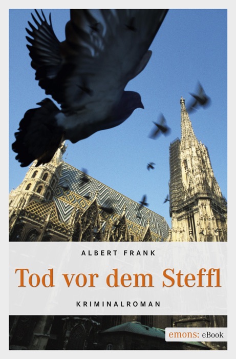 Tod vor dem Steffl