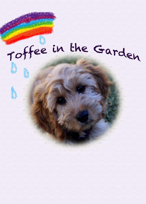 Toffee In The Garden