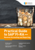 M. Larry McKinney - Practical Guide to SAP FI-RA — Revenue Accounting and Reporting artwork