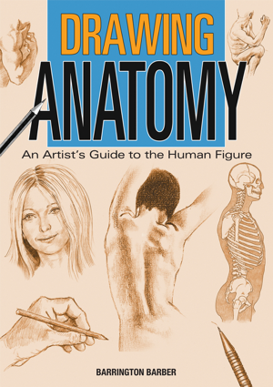 Read & Download Drawing Anatomy Book by Barrington Barber Online