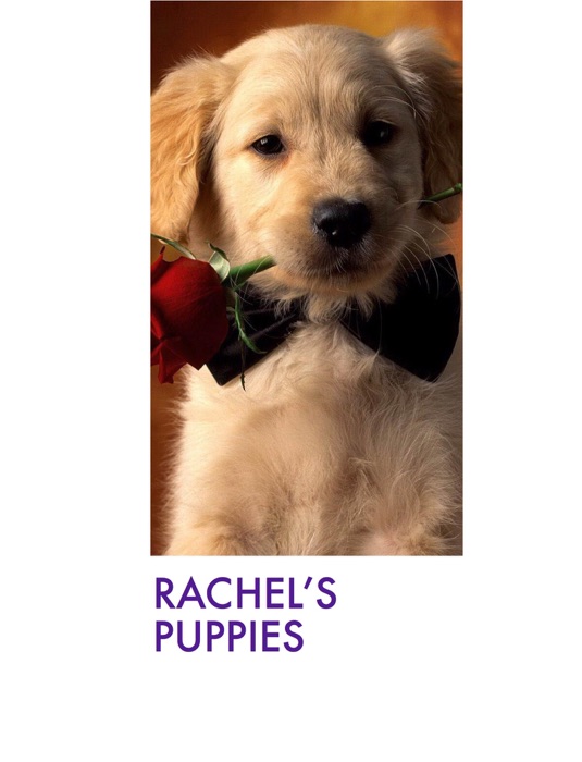 Rachel's Puppies