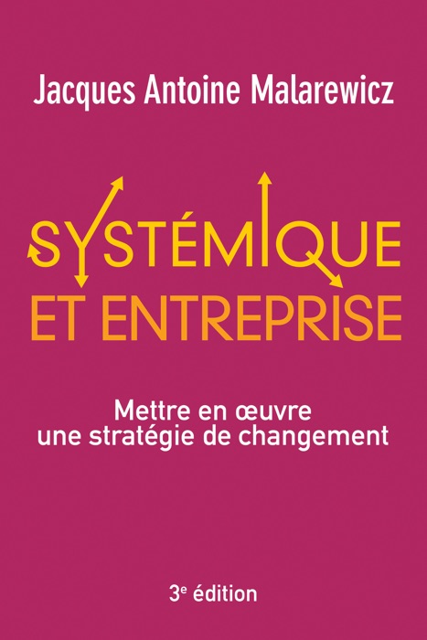 Systémique et entreprise