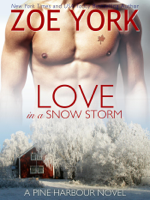 Zoe York - Love in a Snow Storm artwork