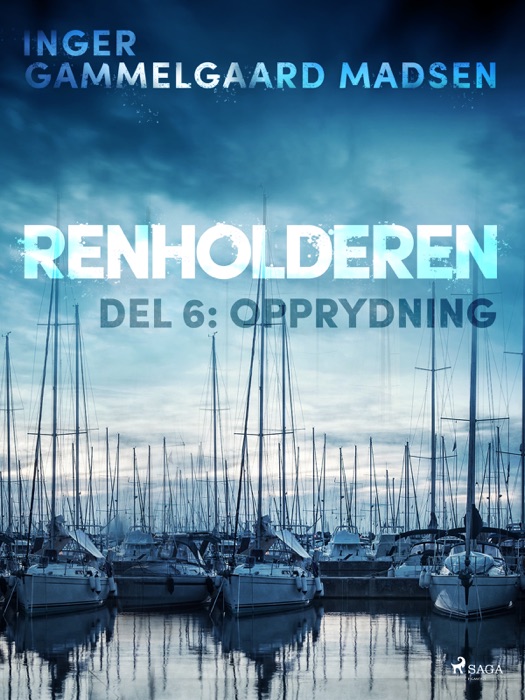 Renholderen 6: Opprydning