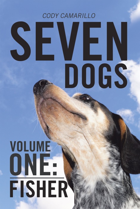 Seven Dogs