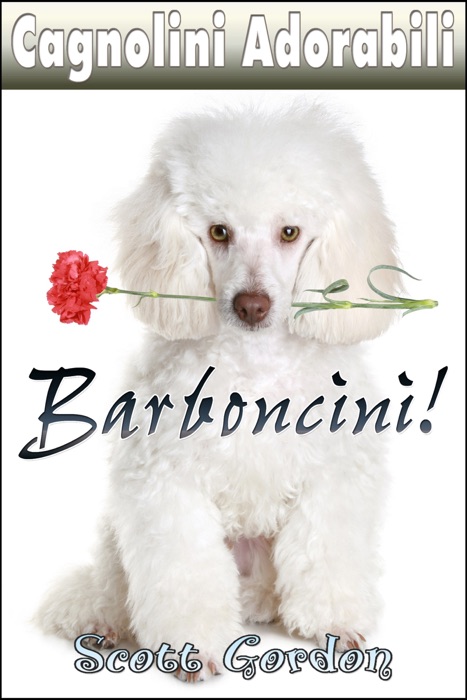 Cagnolini Adorabili: I Barboncini