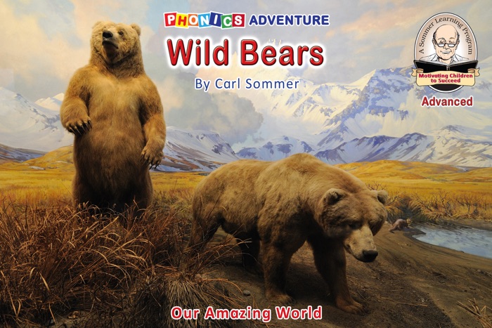 Wild Bears