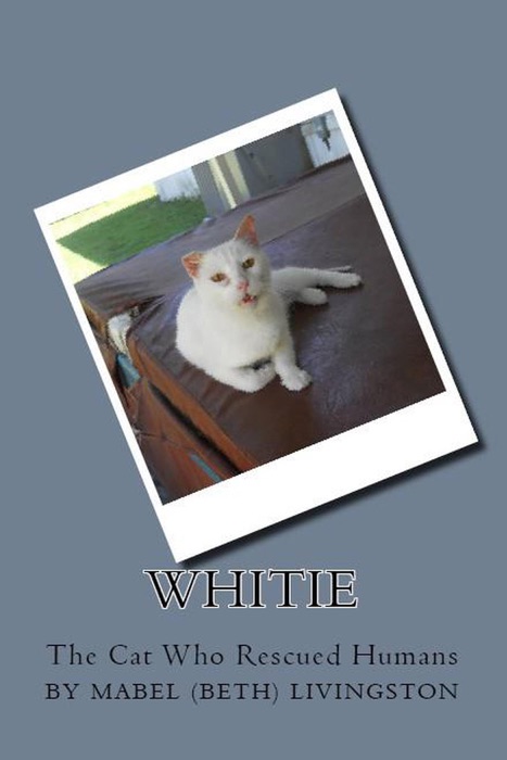 Whitie The Cat Who Rescued Humans