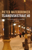 Tsjaikovskistraat 40 - Pieter Waterdrinker
