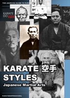 Karate 空手 Styles